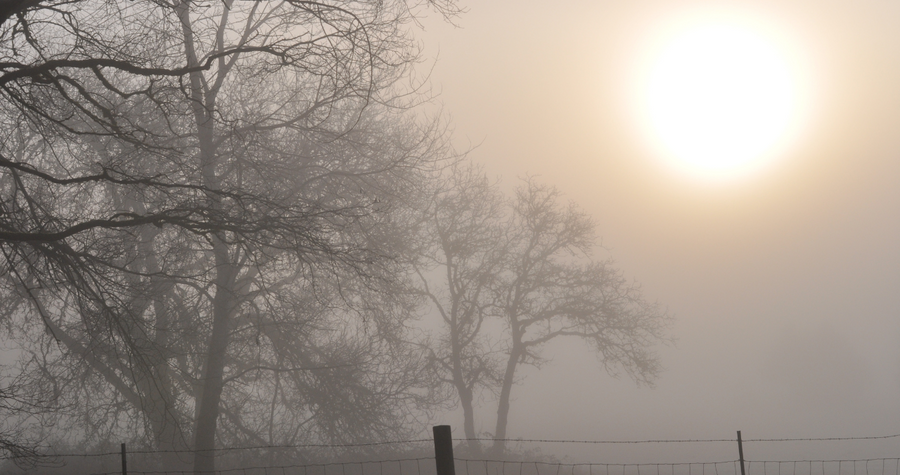 Masterclass'Rouwen mag, maar hoe dan?'
